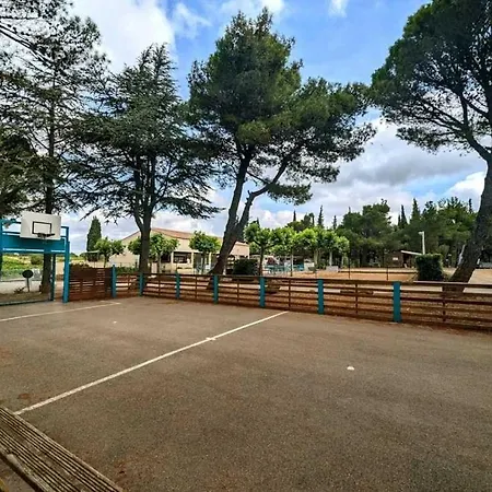 캠프장 Zecamping 3 Anime Avec Club Enfant Toboggans Restaurant Et Piscine