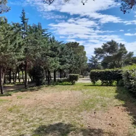 3 Etoiles - Piscine - Ccb0ffa Parque de Campismo